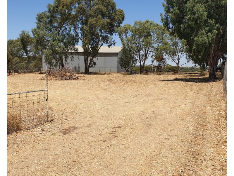 90  Withers Street, Northam WA 6401