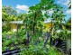 51 Mahogany Drive, Gulmarrad NSW 2463