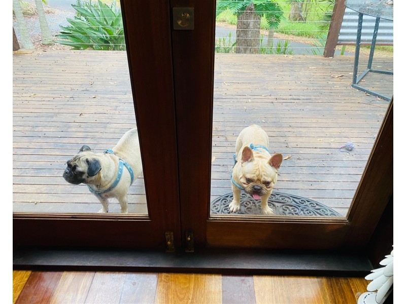 19 Nectar Street, Lamb Island QLD 4184