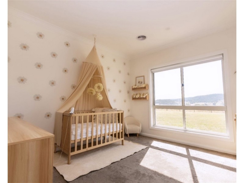 489  Back Cullen Bullen Road, Portland NSW 2847