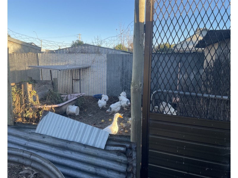 45 River street, Balranald NSW 2715