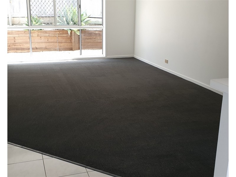 66 Windemere Road, Alexandra Hills QLD 4161