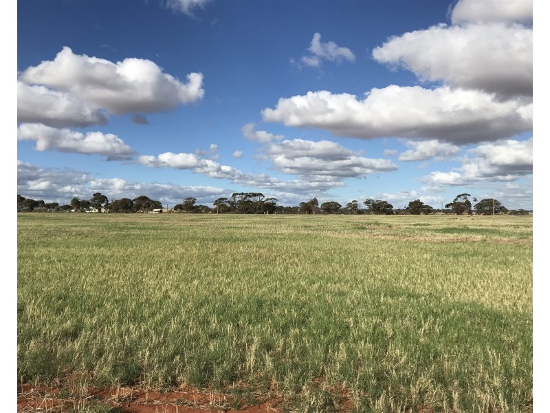 Lot 72 / 151 Cameron Road & Koolyanobbing – Southern Cross Road, Southern Cross WA 6426