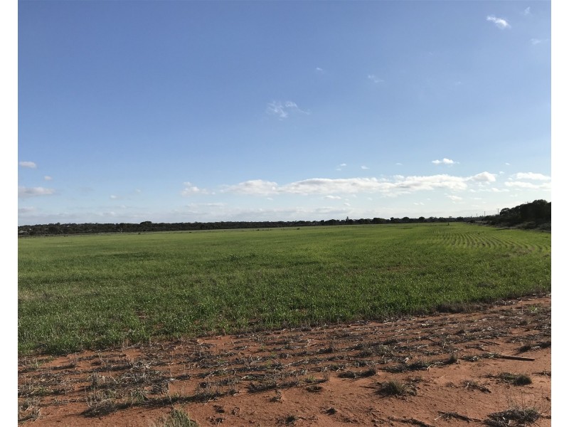 Lot 72 / 151 Cameron Road & Koolyanobbing – Southern Cross Road, Southern Cross WA 6426