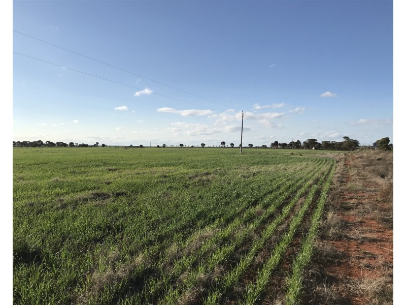 Lot 72 / 151 Cameron Road & Koolyanobbing – Southern Cross Road, Southern Cross WA 6426