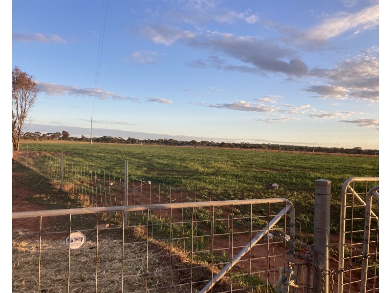 Lot 72 / 151 Cameron Road & Koolyanobbing – Southern Cross Road, Southern Cross WA 6426