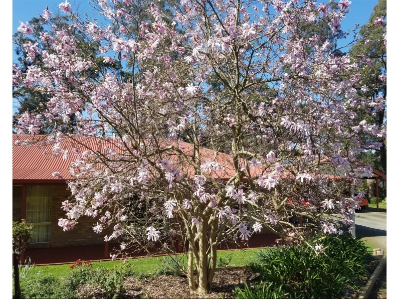 5 Elizabeth Close, Drouin VIC 3818