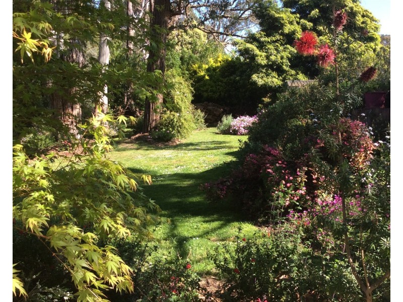 5 Elizabeth Close, Drouin VIC 3818