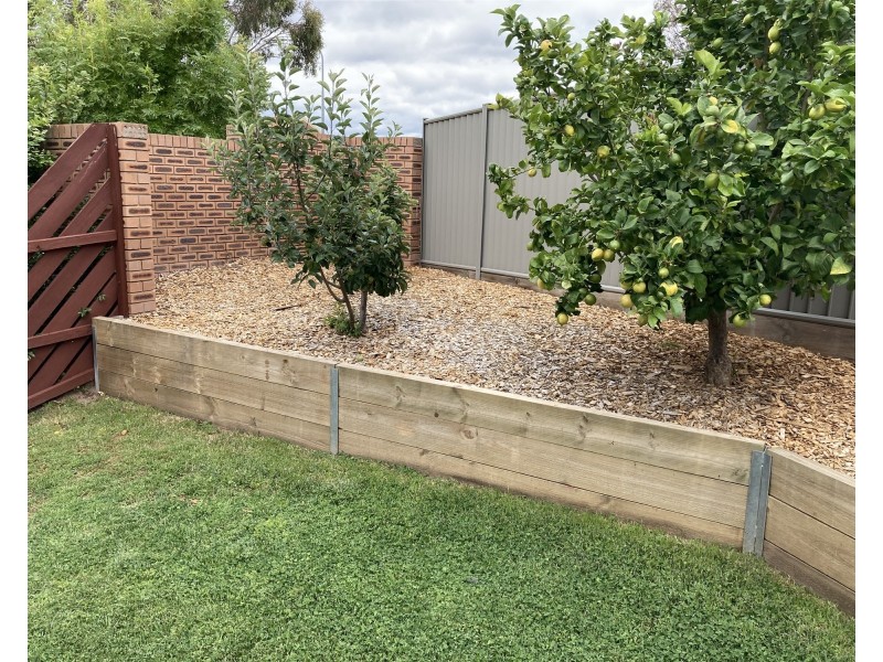 Bonython ACT 2905