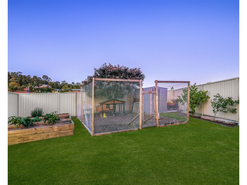 4 Rarotonga Rise, Pacific Pines QLD 4211