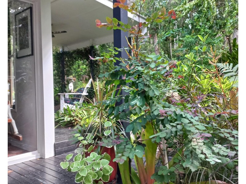 11  Gumleaf Close, Doonan QLD 4562