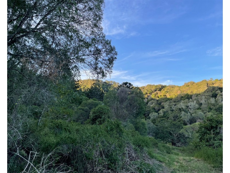 180  Dunns Road, Wolffdene QLD 4207