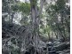 180  Dunns Road, Wolffdene QLD 4207