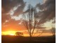 Allenview QLD 4285