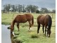 Allenview QLD 4285