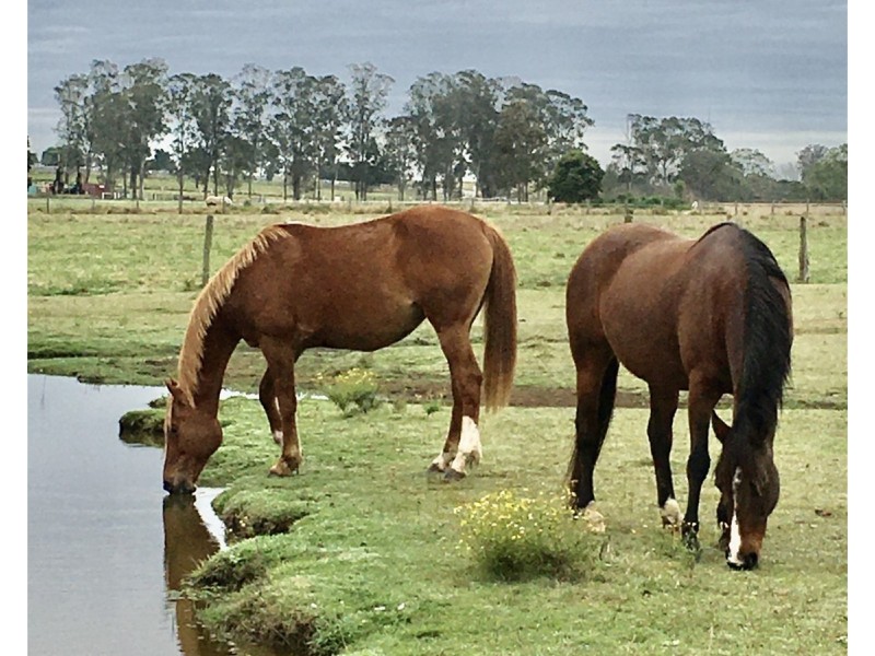 Allenview QLD 4285