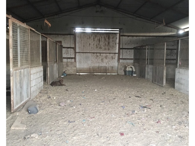 Allenview QLD 4285