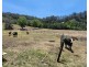 86 Atkinson Road, Kiamba QLD 4560