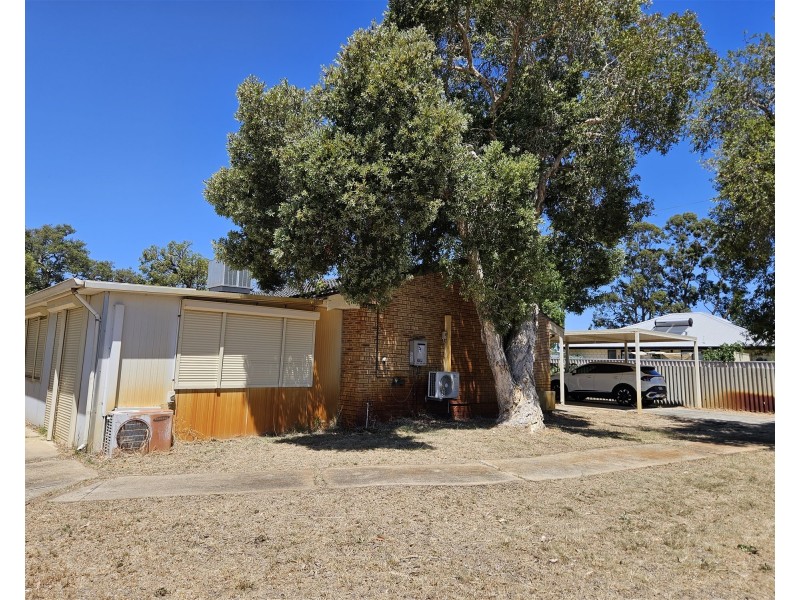 16 Carcoola Avenue, Pinjarra WA 6208