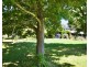 203 Ainsworth Avenue, Chum Creek VIC 3777
