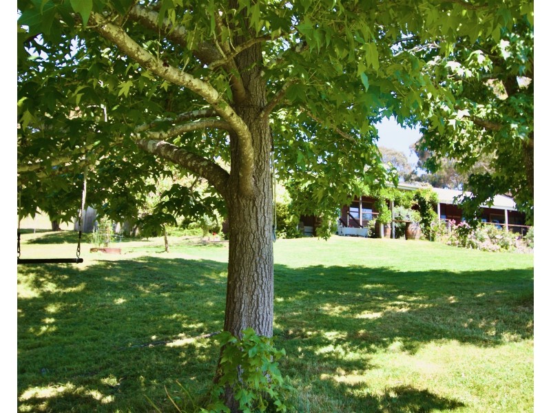 203 Ainsworth Avenue, Chum Creek VIC 3777