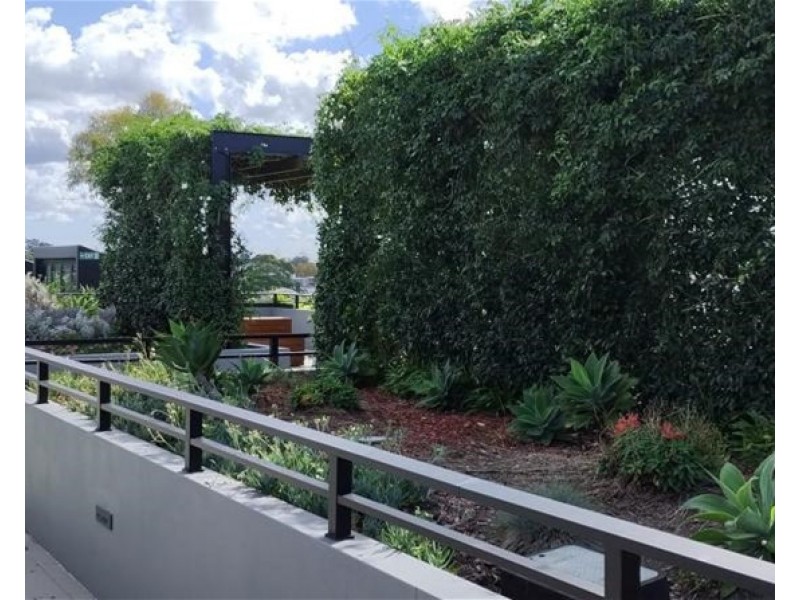 611/5  Elger Street, Glebe NSW 2037
