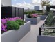 611/5  Elger Street, Glebe NSW 2037