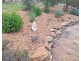 190 Burnt Arm Road, Putty NSW 2330
