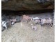 190 Burnt Arm Road, Putty NSW 2330