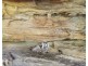 190 Burnt Arm Road, Putty NSW 2330