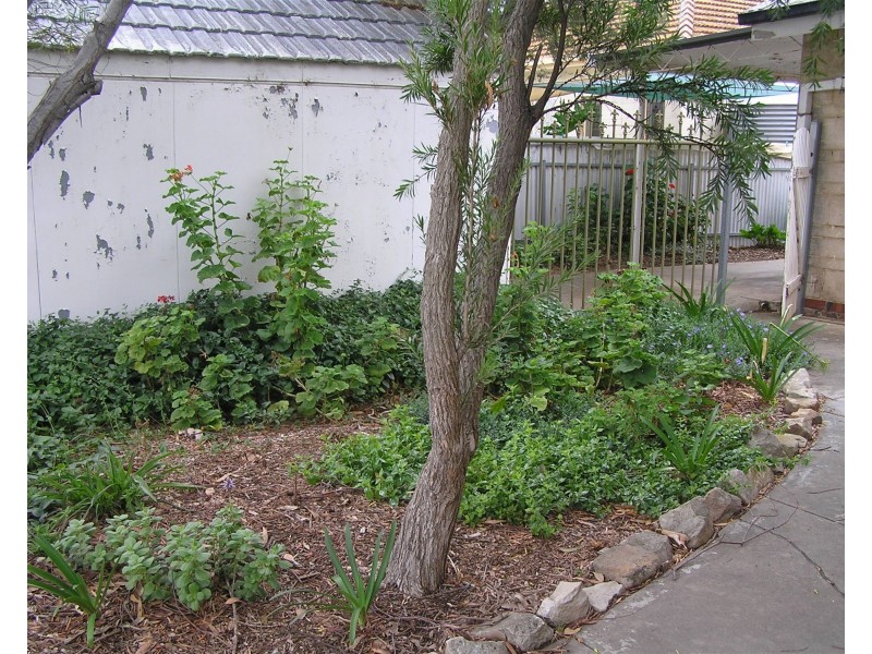 Park Holme SA 5043