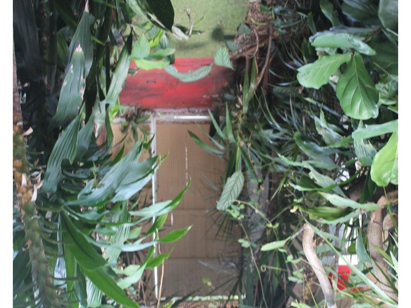 11/907 Brunswick St, New Farm QLD 4005