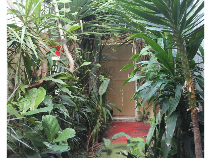 11/907 Brunswick St, New Farm QLD 4005