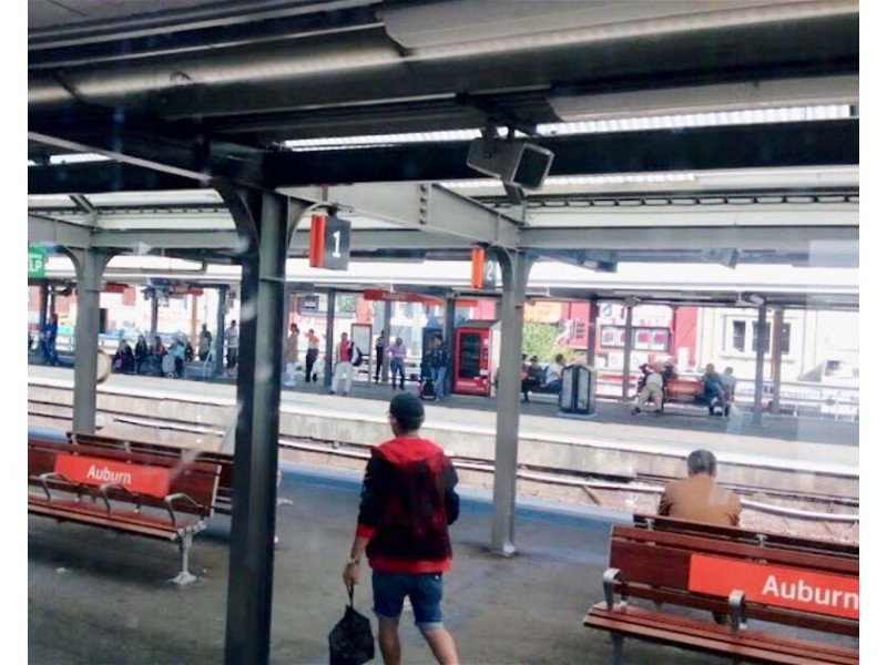 18 Harrow Road, Auburn NSW 2144