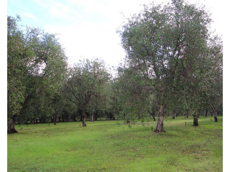 146 Harmans Mill Road, Metricup WA 6280
