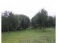 146 Harmans Mill Road, Metricup WA 6280