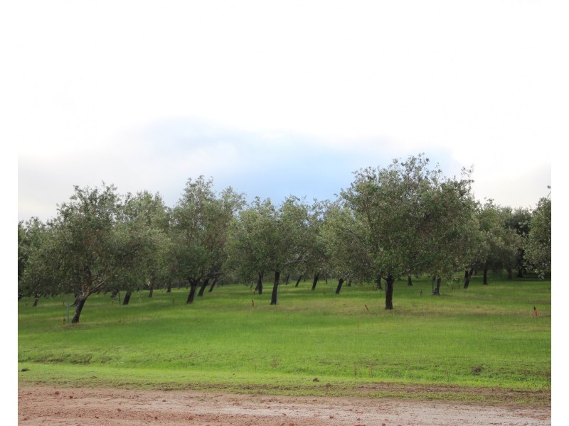 146 Harmans Mill Road, Metricup WA 6280