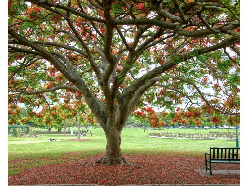 544 Lower Bowen Terrace, New Farm QLD 4005