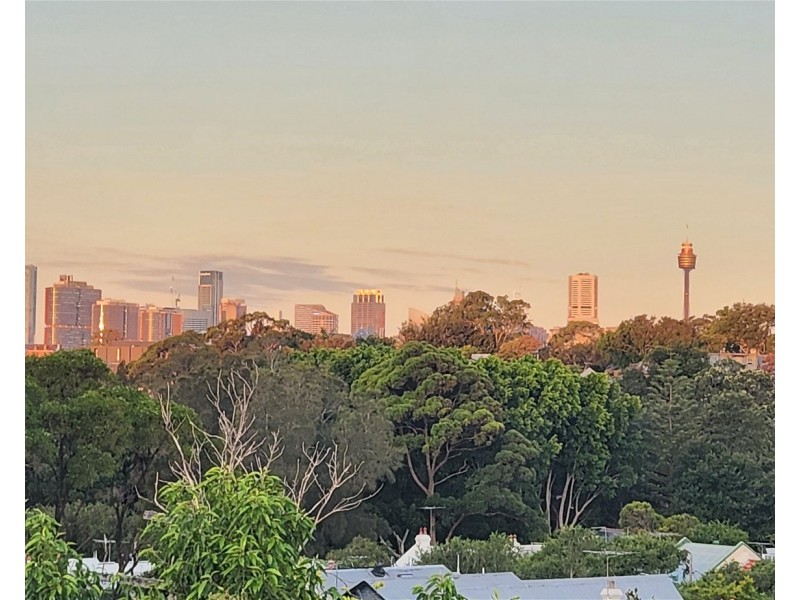 Top Flat/33 Booth Street, Annandale NSW 2038