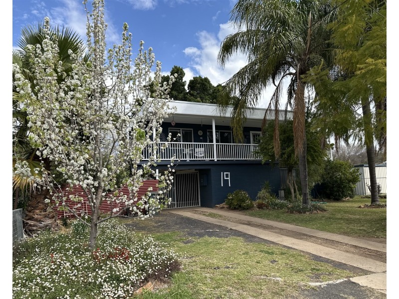 19 Milson Street, Warren NSW 2824