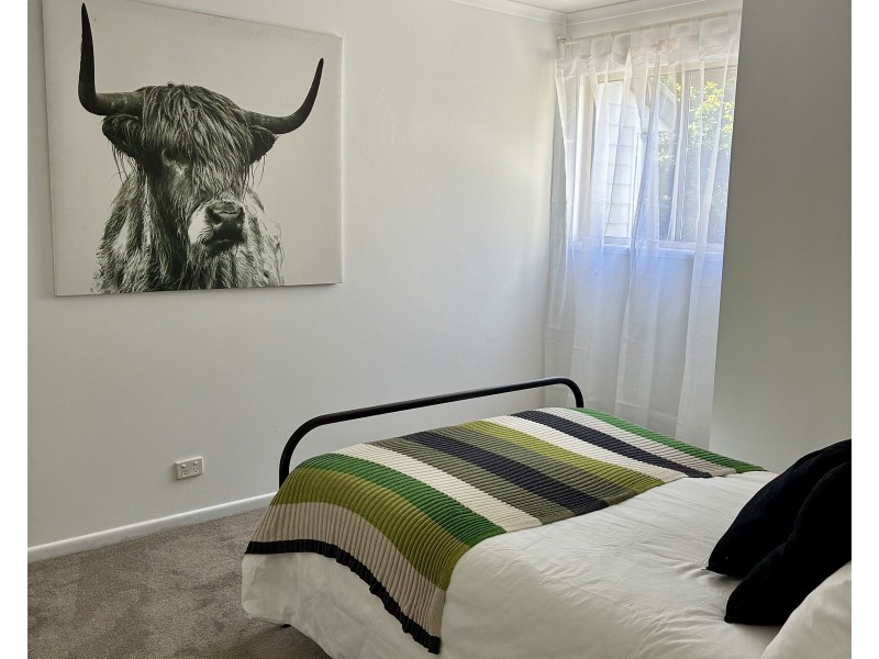 46/33 Scholars Drive, Sippy Downs QLD 4556