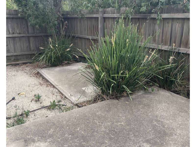 15 Ravenwoods Way, Craigieburn VIC 3064