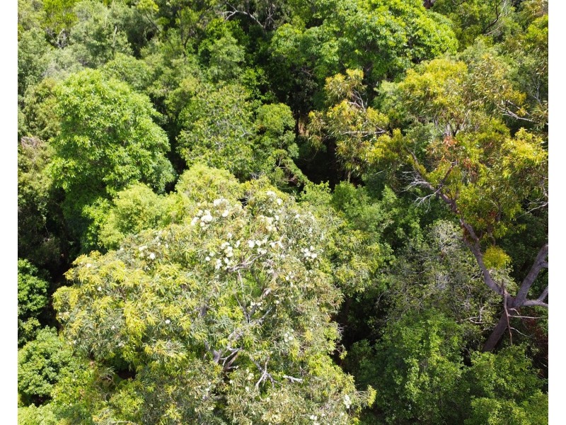 12 Gumleaf Close, Doonan QLD 4562