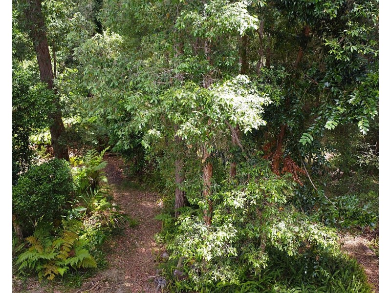 12 Gumleaf Close, Doonan QLD 4562