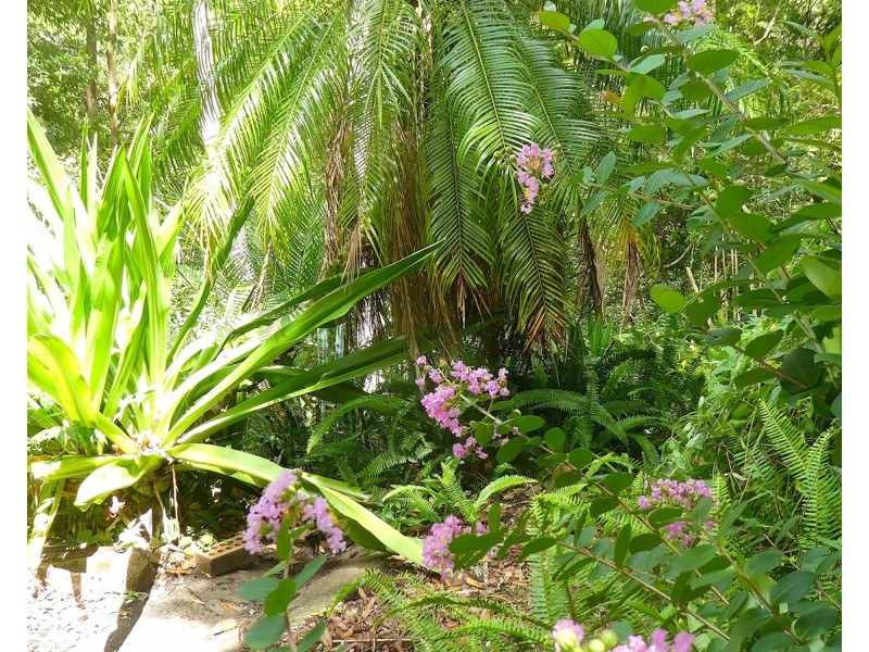 12 Gumleaf Close, Doonan QLD 4562