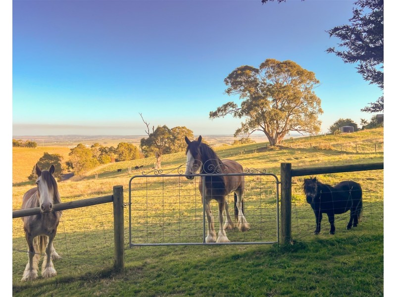 71 Wallaces Road, Korumburra South VIC 3950