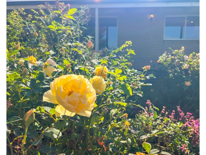 71 Wallaces Road, Korumburra South VIC 3950