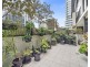 302/5 wentworth place, Wentworth Point NSW 2127