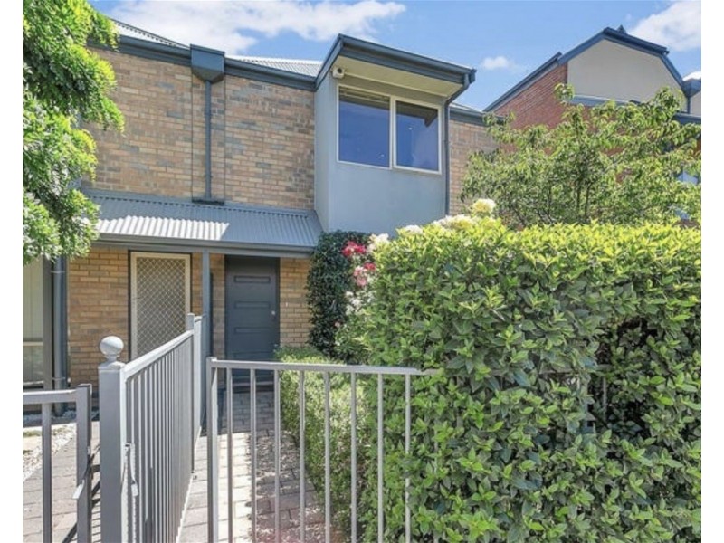 31  Frederick Street, Richmond SA 5033