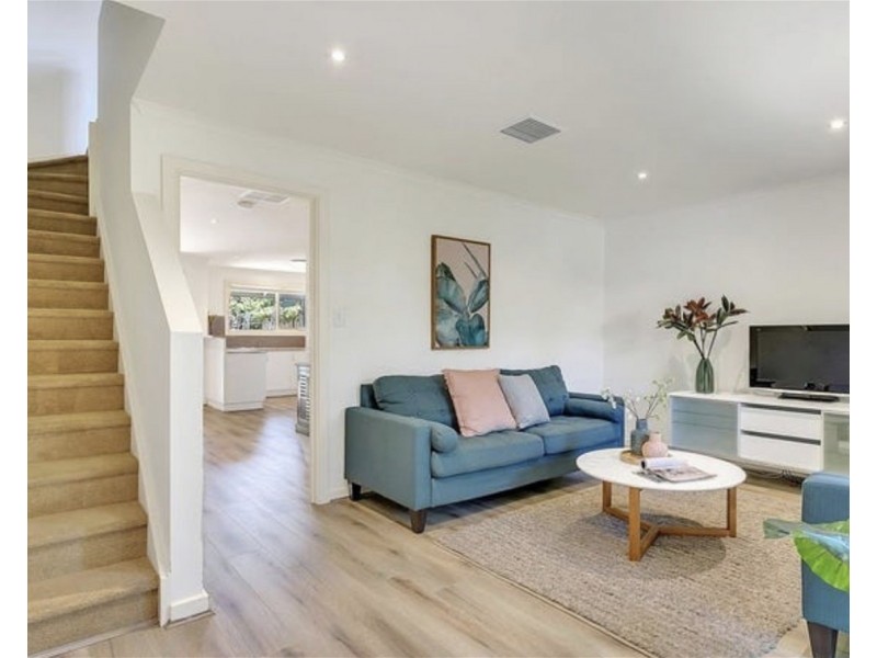 31  Frederick Street, Richmond SA 5033